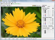 Neat Image v6 32-bit for Windows