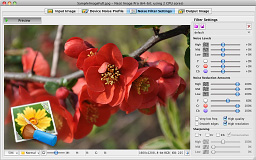 NeatImage-standalone-Mac.jpg