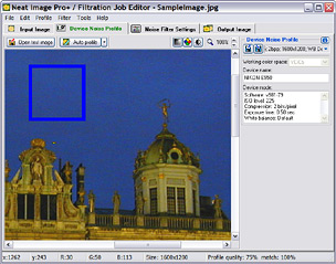 Neat Image Version 5.6 Pro+Plugin [2006, PC, ENG]